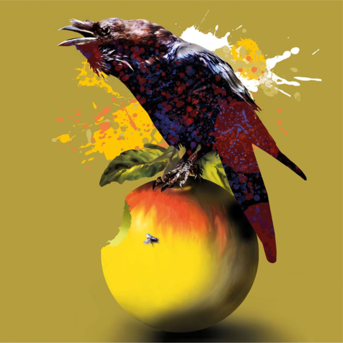 Volker Rossenbach - Der Rabe und der Apfel